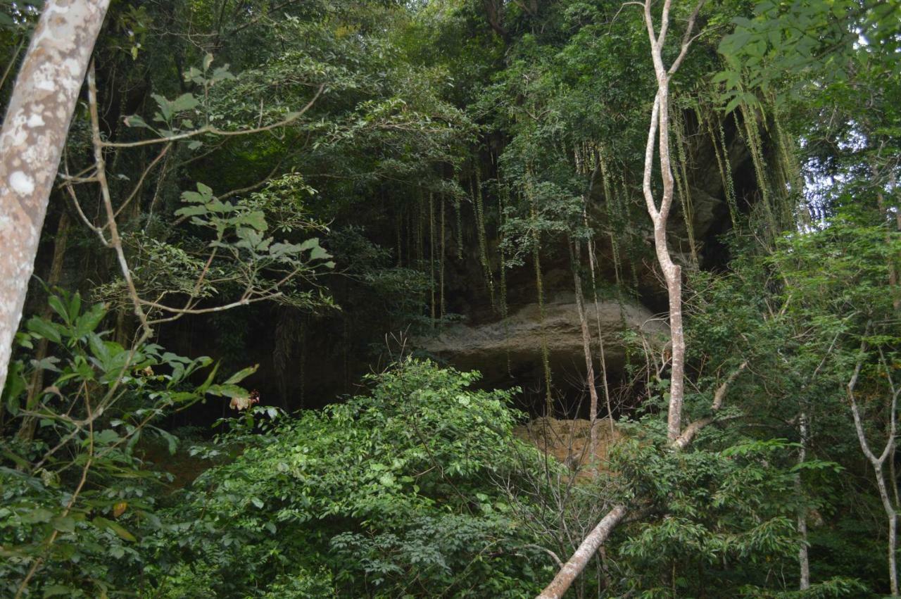 Landak River Guest House Only Trekking With Us Bukit Lawang Exterior photo