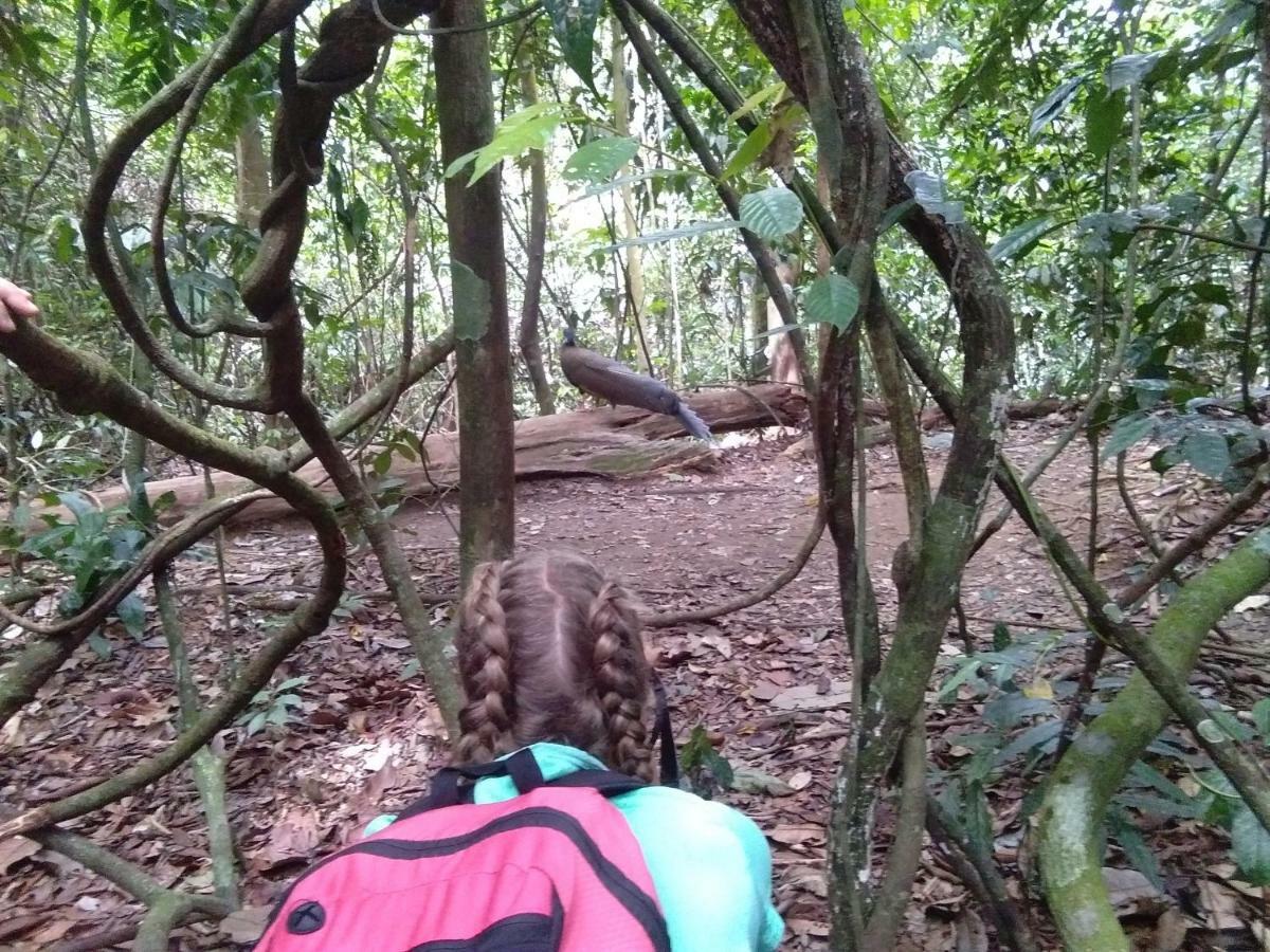Landak River Guest House Only Trekking With Us Bukit Lawang Exterior photo