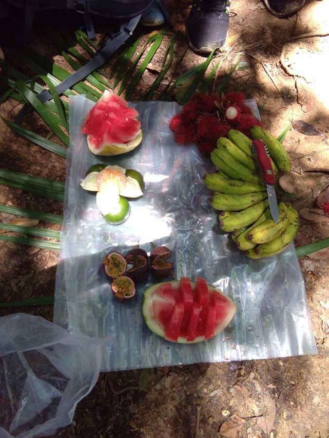 Landak River Guest House Only Trekking With Us Bukit Lawang Exterior photo