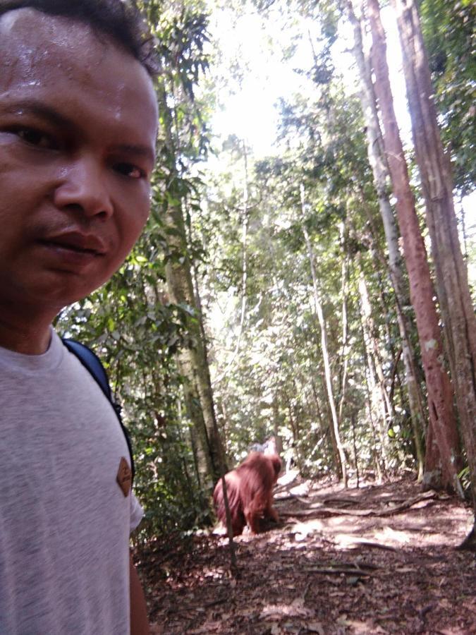 Landak River Guest House Only Trekking With Us Bukit Lawang Exterior photo